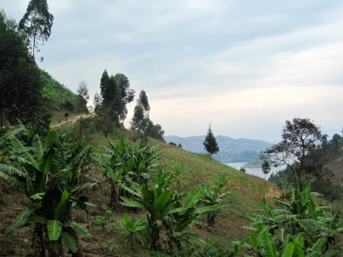 Congo Nile Trail Along Lake Kivu
